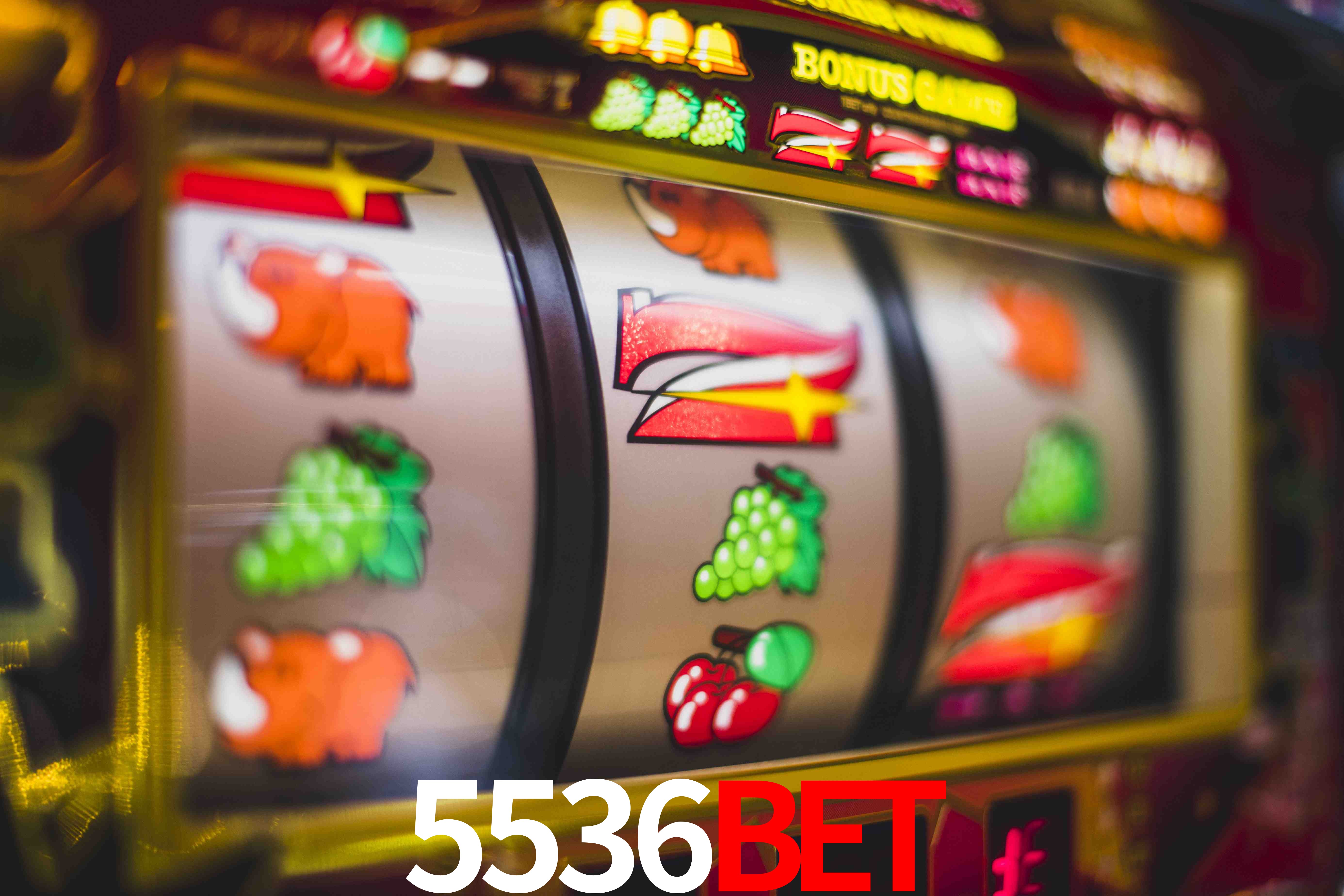 Experiência VIP 5536Bet